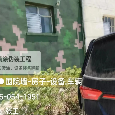 奉贤数码迷彩漆施工